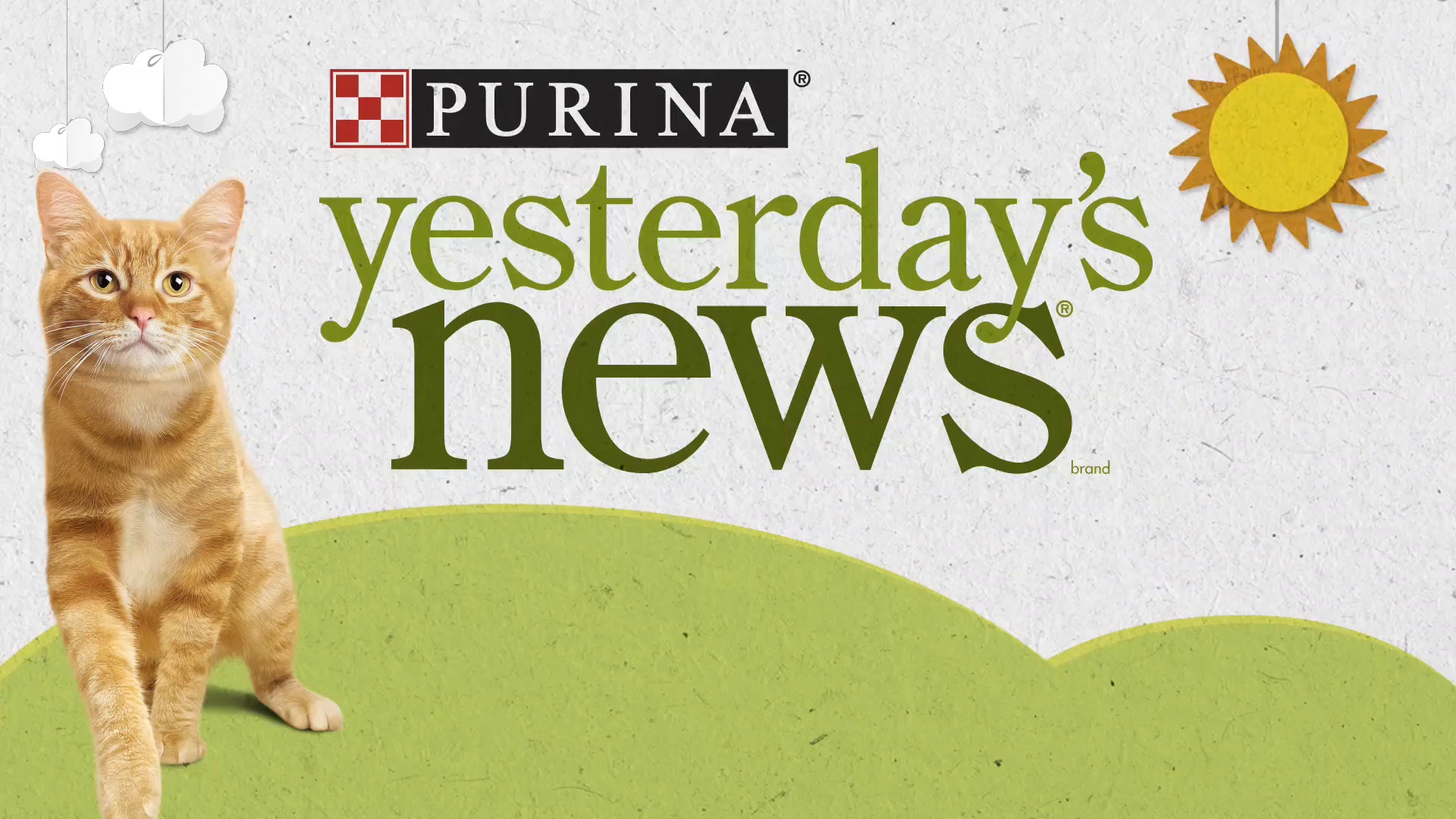 Purina Yesterday's News NonClumping