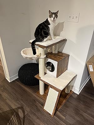 Buy Feandrea Cat Tree Modern Cat Tower Wood Cat Condo Furniture With Scratching Posts For Large Small Cats 37 8 Inches Walnut Color Upct071h01 Online In Turkey B089y6xg2k