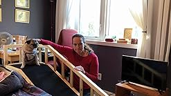 gentle rise dog bed ramp