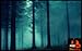 Relaxing Rain HD - Peaceful Rain Views