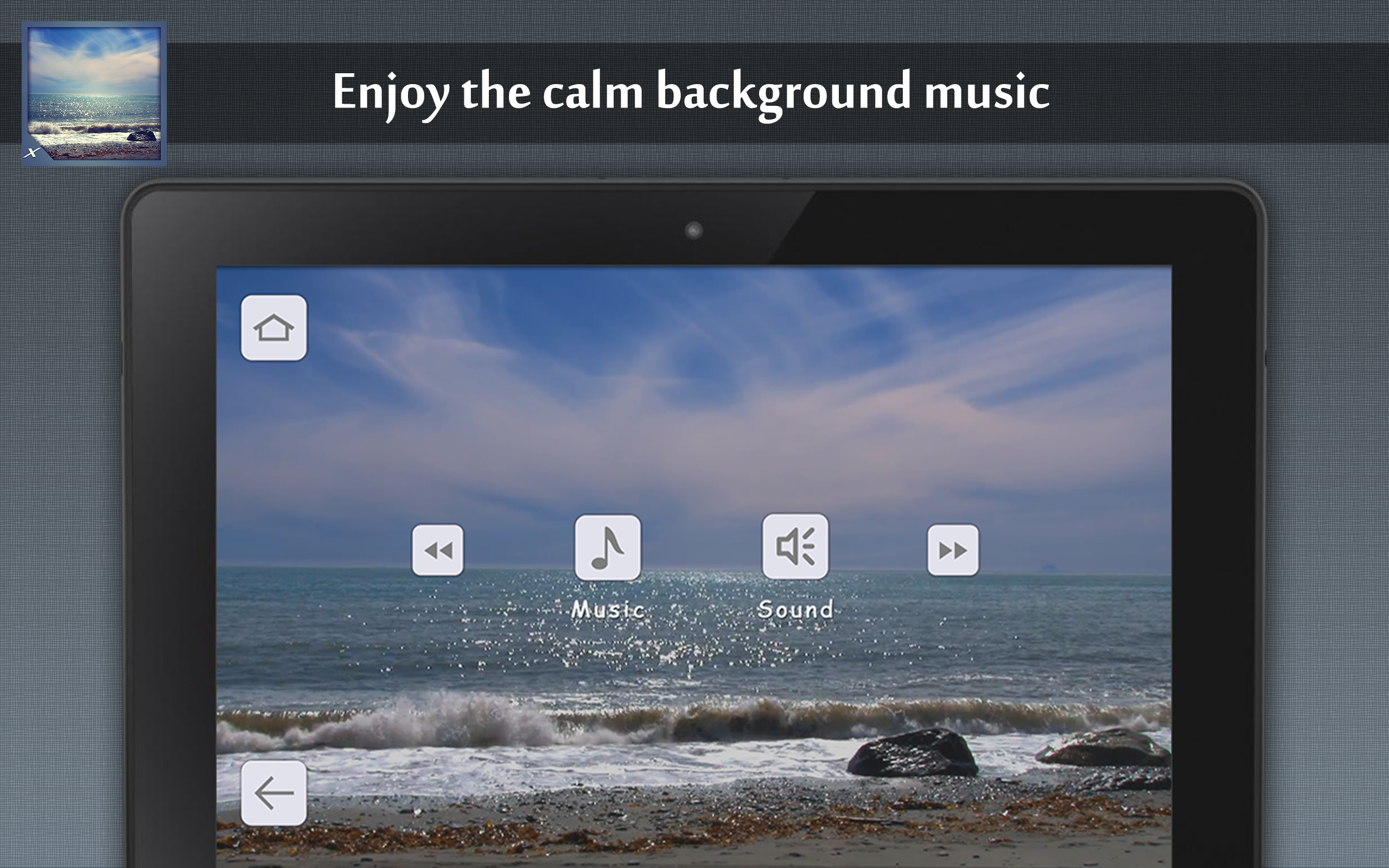Calm Beach - Beautiful Beach Collection - Thumbnail 6