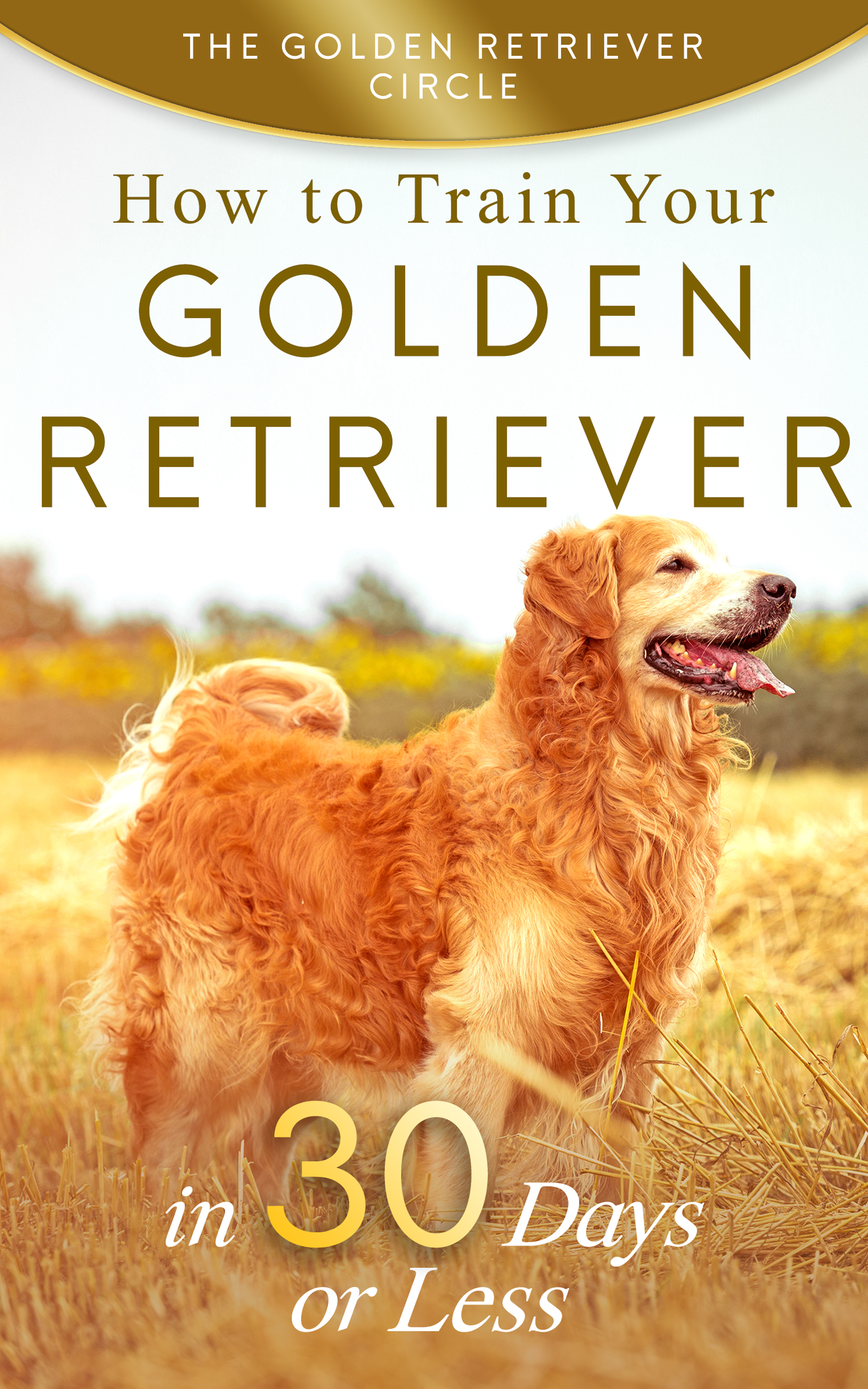 Golden Retriever Easiest Dog Breeds To Raise Eight Signs That