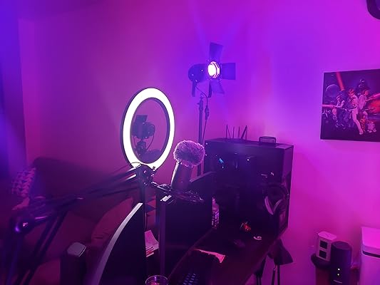 Buy J.LUMI RAL3002 Track Light Rails, Halo Single Circuit ...