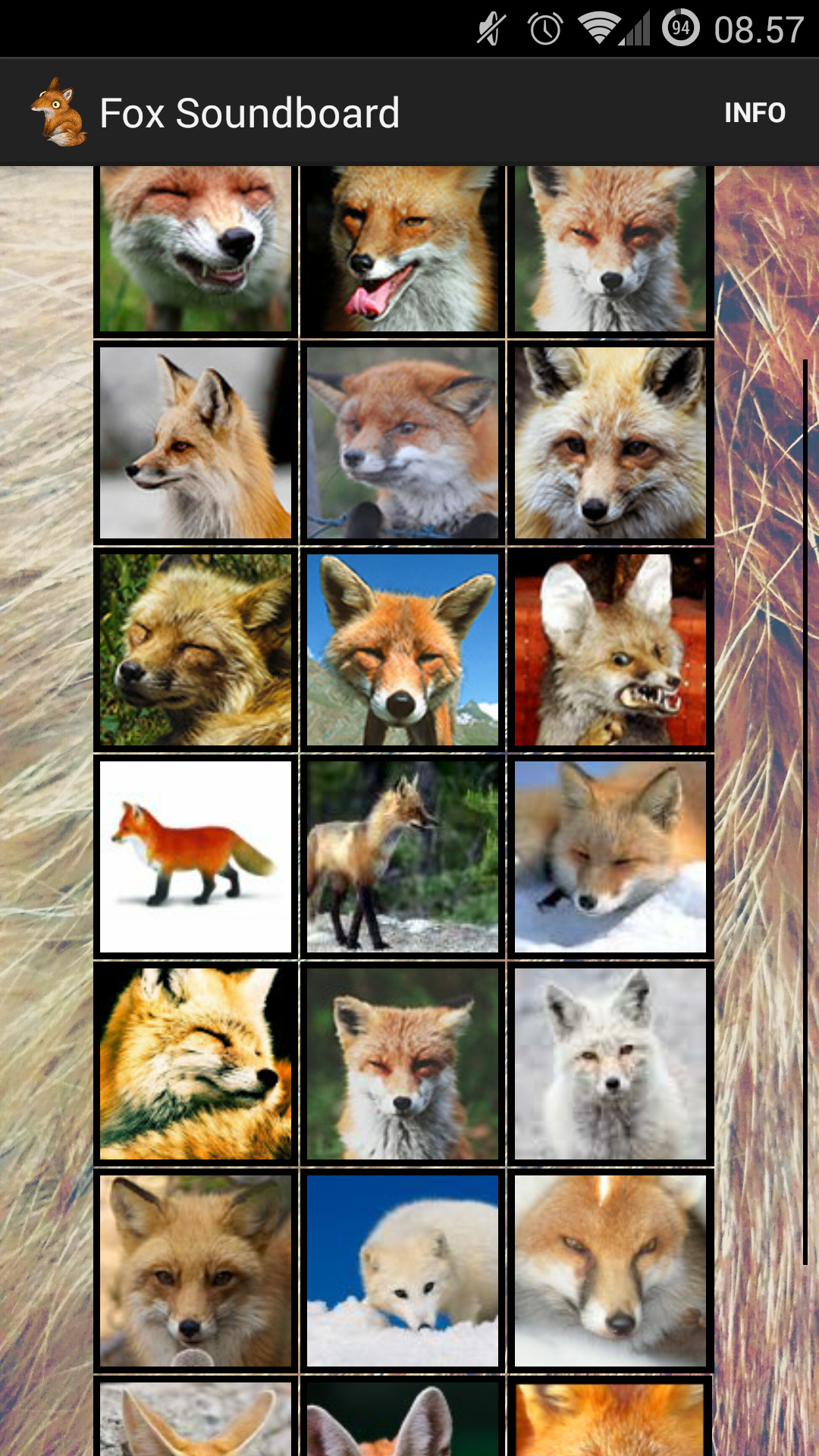 Fox Soundboard Amazon Com Br Apps E Jogos