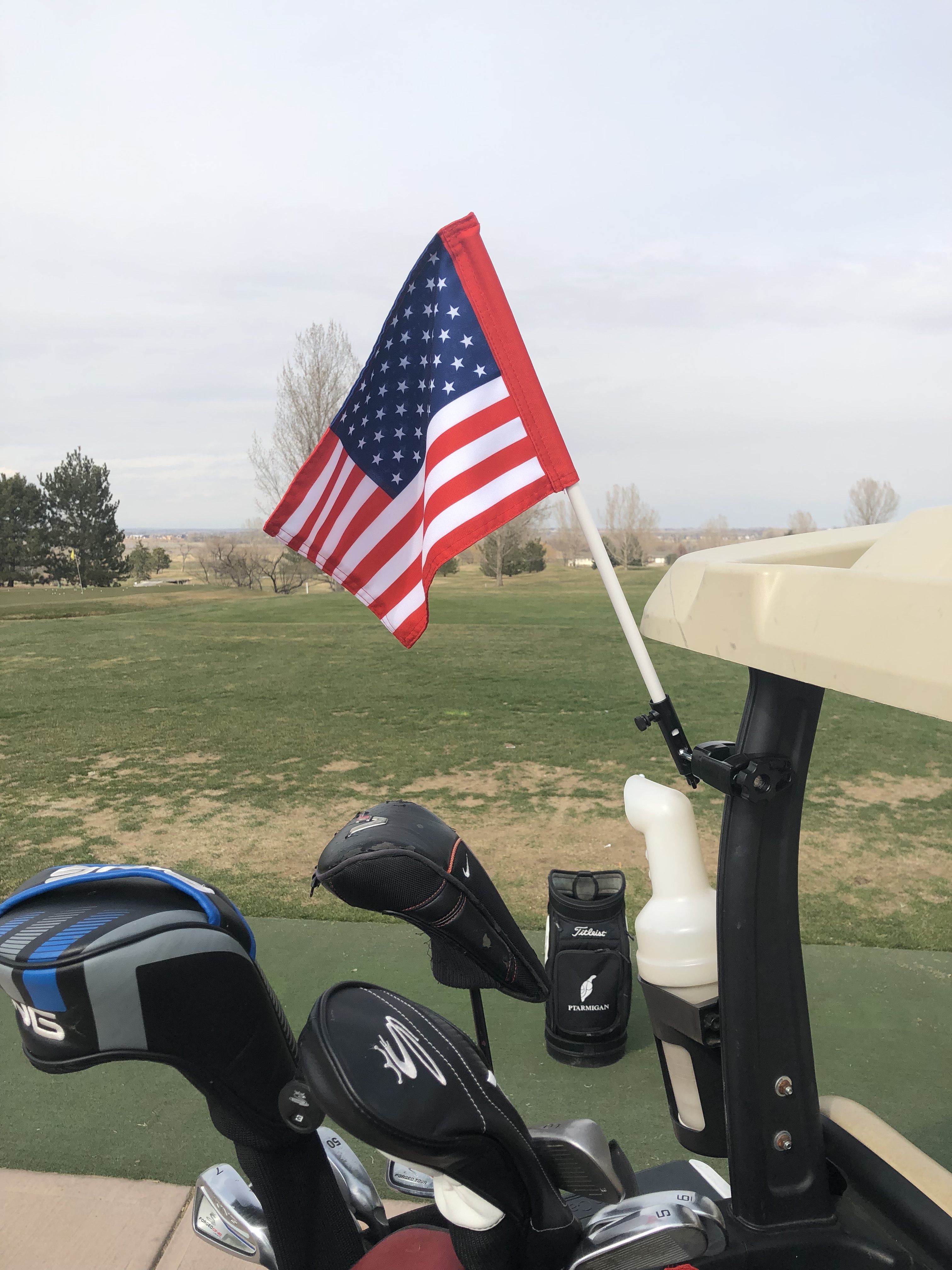Amazon.com : Caddie Buddy Golf Cart Flag Mount/Holder with