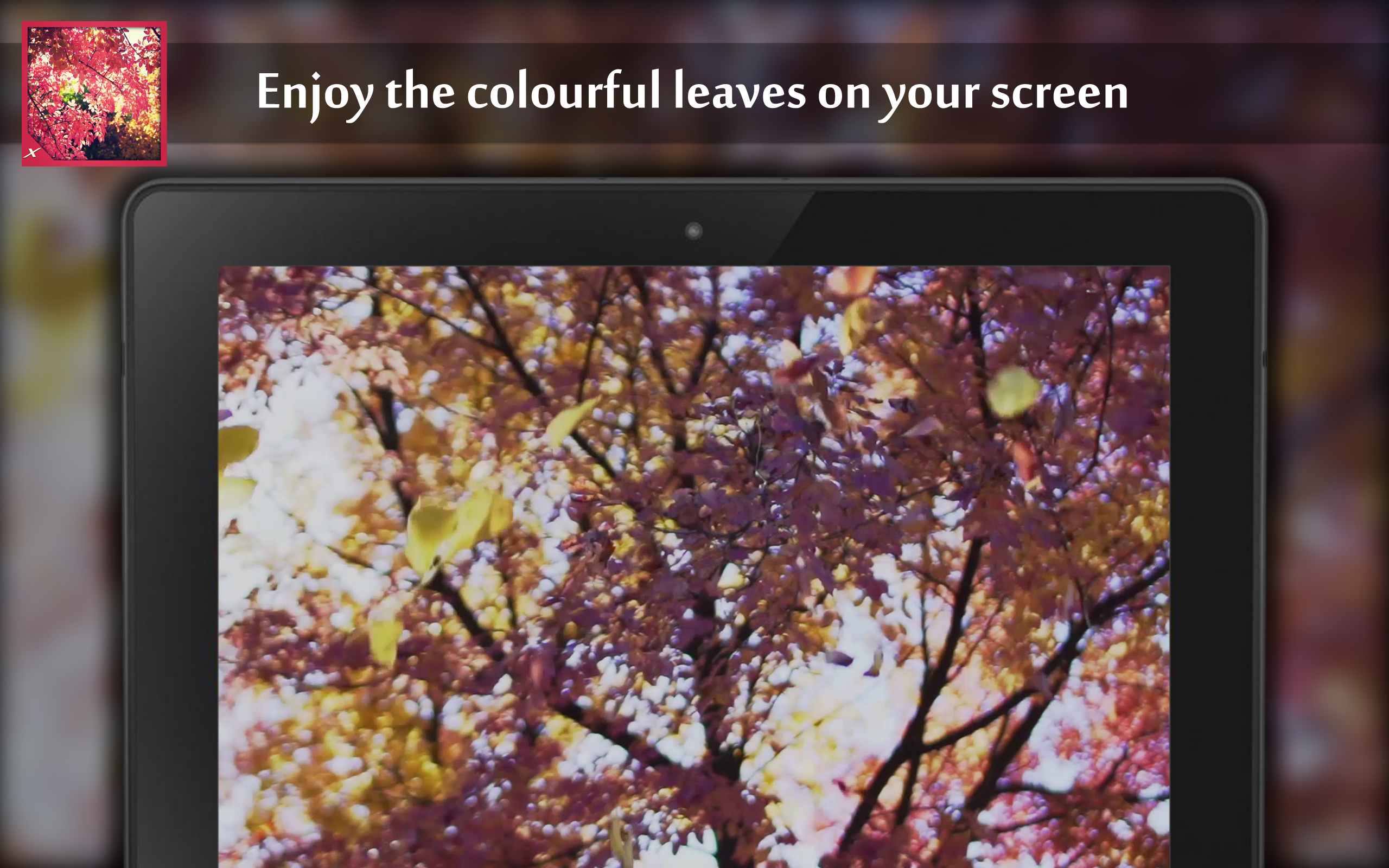 Autumn leaves rattle - Thumbnail 3
