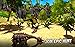 Jurassic Survival Island: Dinosaurs & Craft