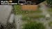 Peaceful Rain HD