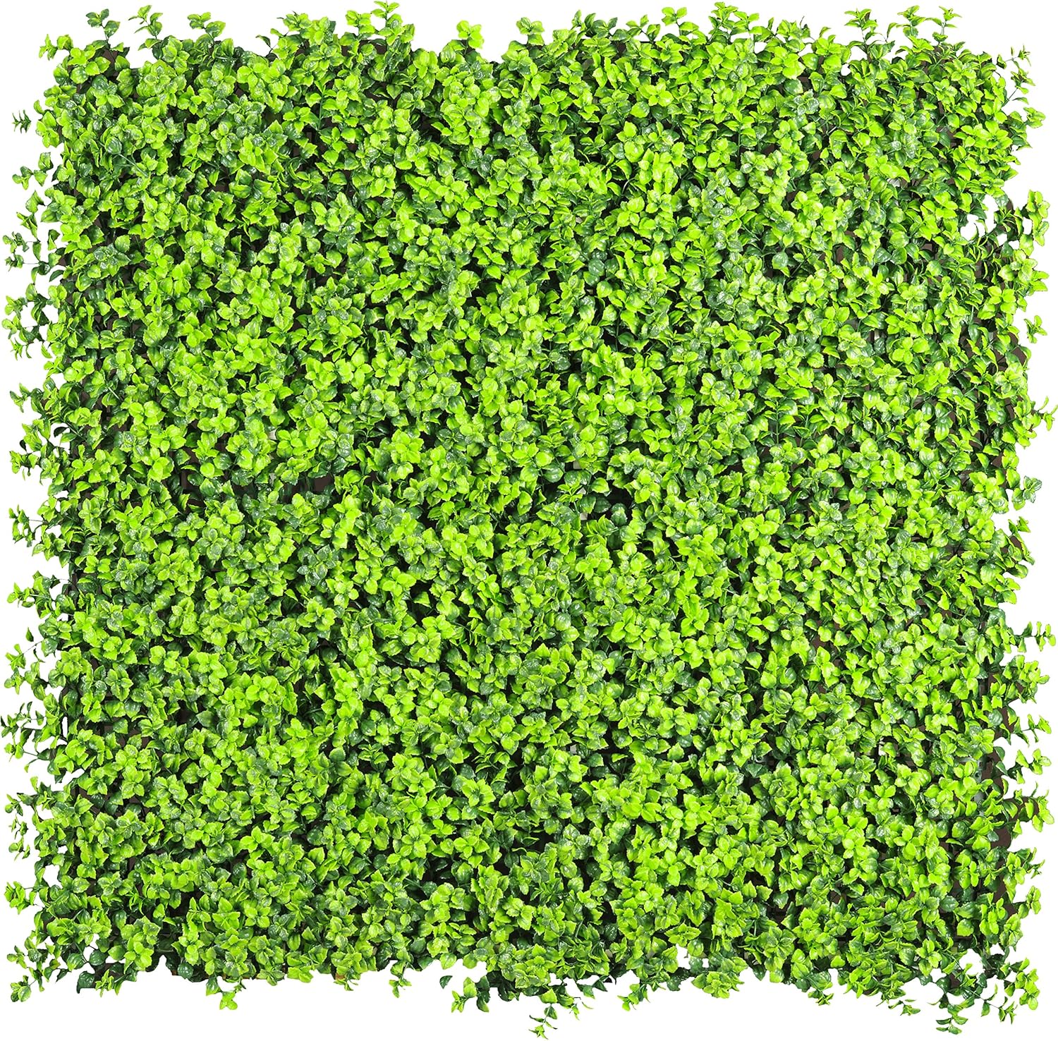 Wonderland Artificial Vertical Garden Mat, Vertical Gardening mat, Green Wall, Box mat
