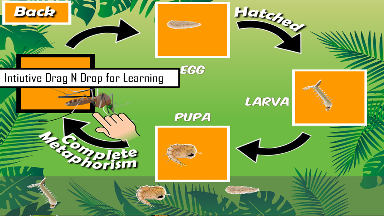 Animals Life Cycle Insects and Arachnids Appstore for