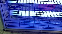 Amazon.com: ASPECTEK Powerful 20W Electronic Insect Killer, Bug Zapper ...