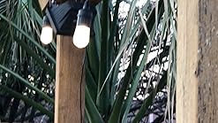 Download Enbrighten Classic LED Cafe String Lights, Black, 36 Foot Length, 18 Impact Resistant Lifetime ...