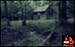 Relaxing Rain HD - Peaceful Rain Views
