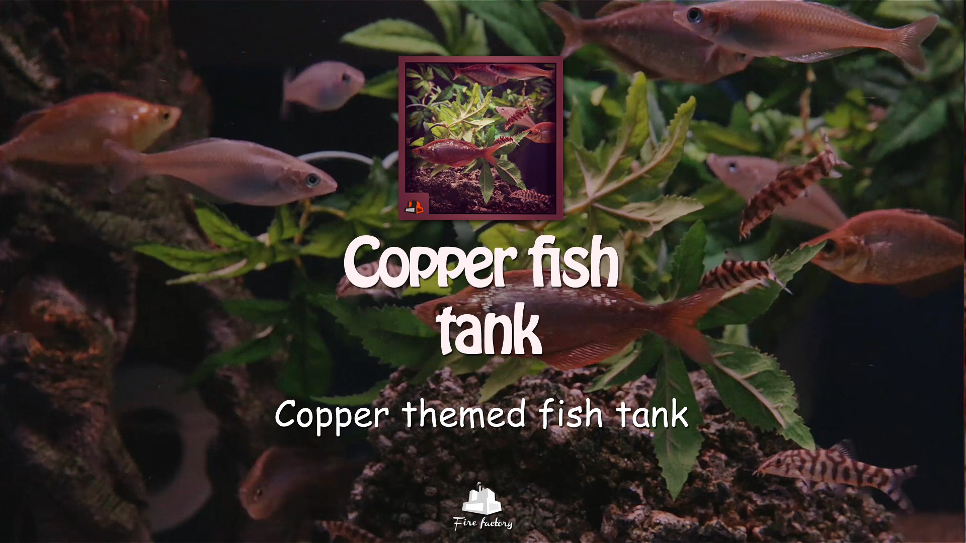 Copper Fish Tank
