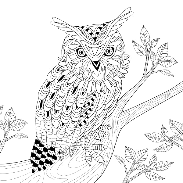 A Fairytale Adventure Greyscale Adult Colouring Book - 