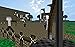 Block Warfare: Medieval Combat (TV Edition)