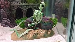 Amazon Com Penn Plax Aerating Action Ornament Pirate Skeleton Lifts Rum Jug Up And Down Aquarium Decor Ornaments Pet Supplies