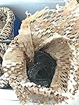 Review Image by Amazon Customer