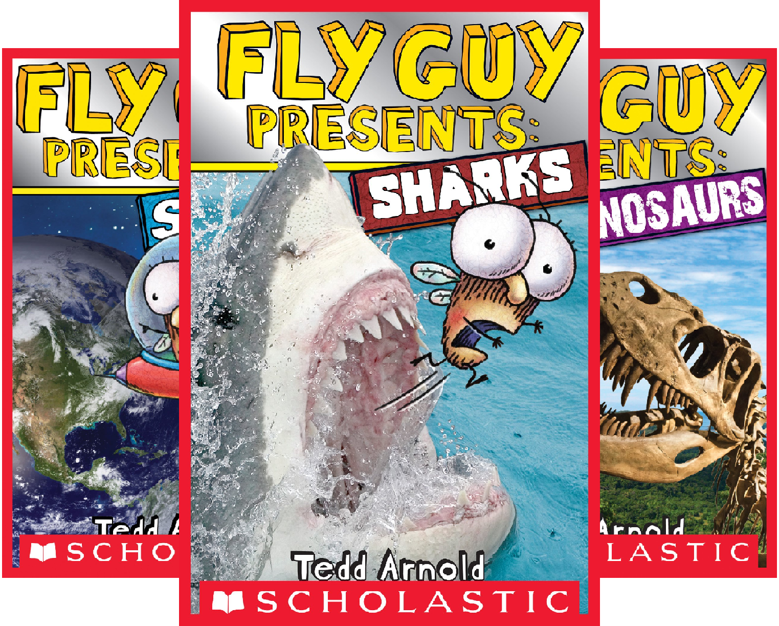 Top 10 best fly guy nonfiction bundle 2019