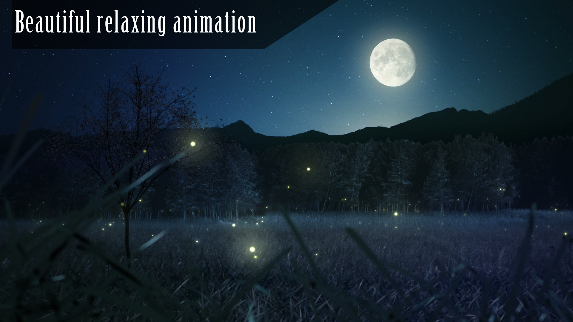 Enchanted Night HD:Amazon.com:Appstore for Android