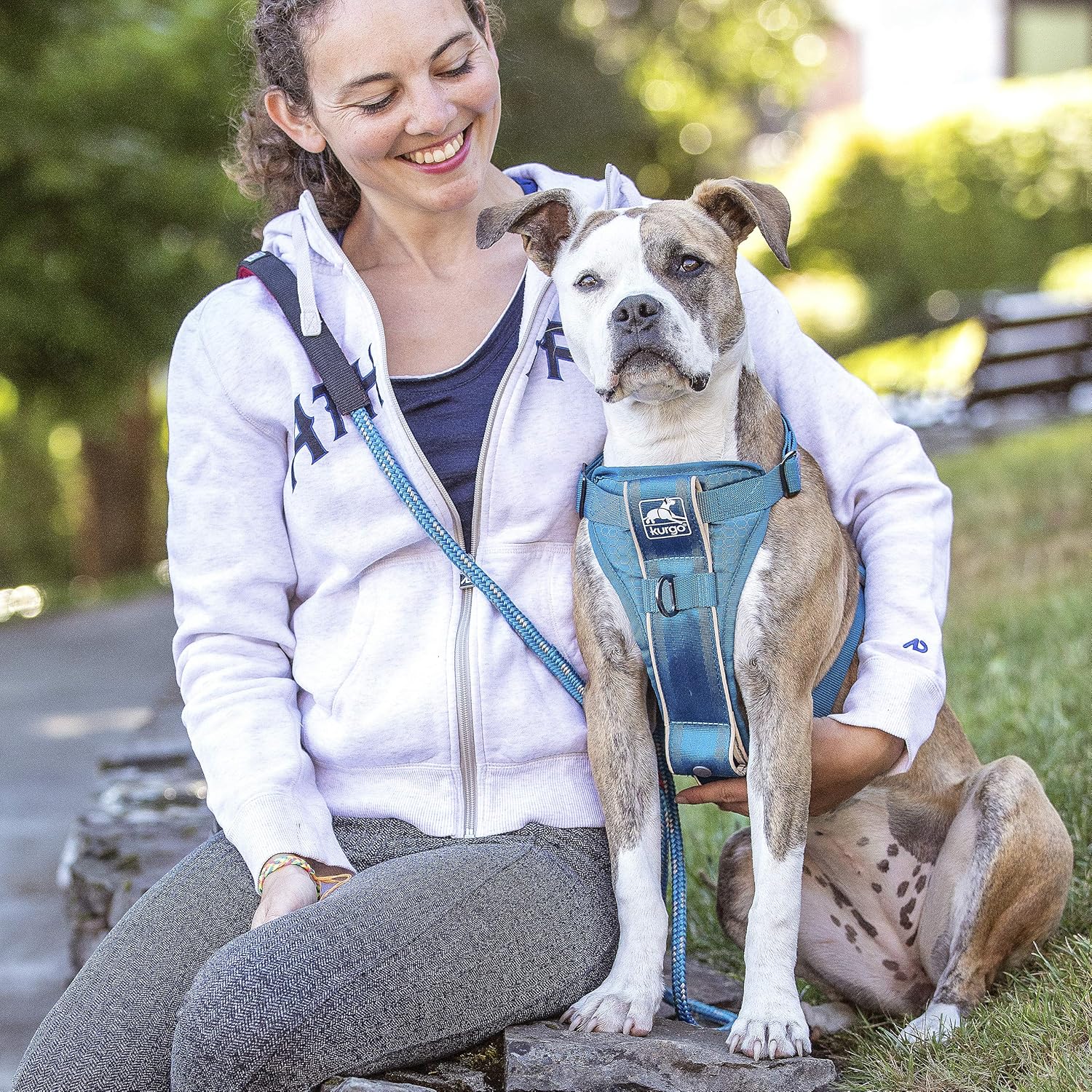 dog harness seat belt tether