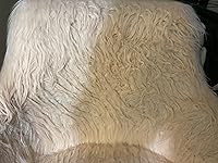 Review Image by Amy Zellner