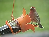 Review Image by Tracy E. Tracy E.