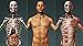 Visual Acupuncture 3D - Human