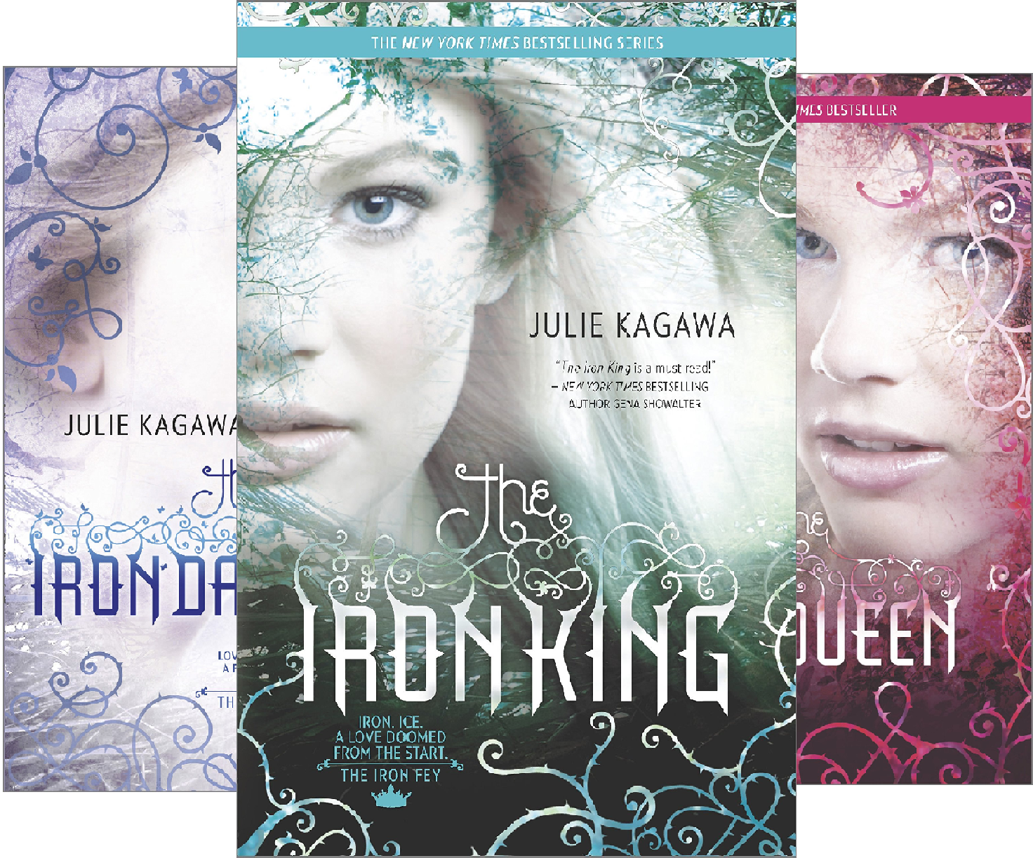 The Iron Fey (6 Book Series)