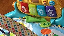 lil critters musical glow gym