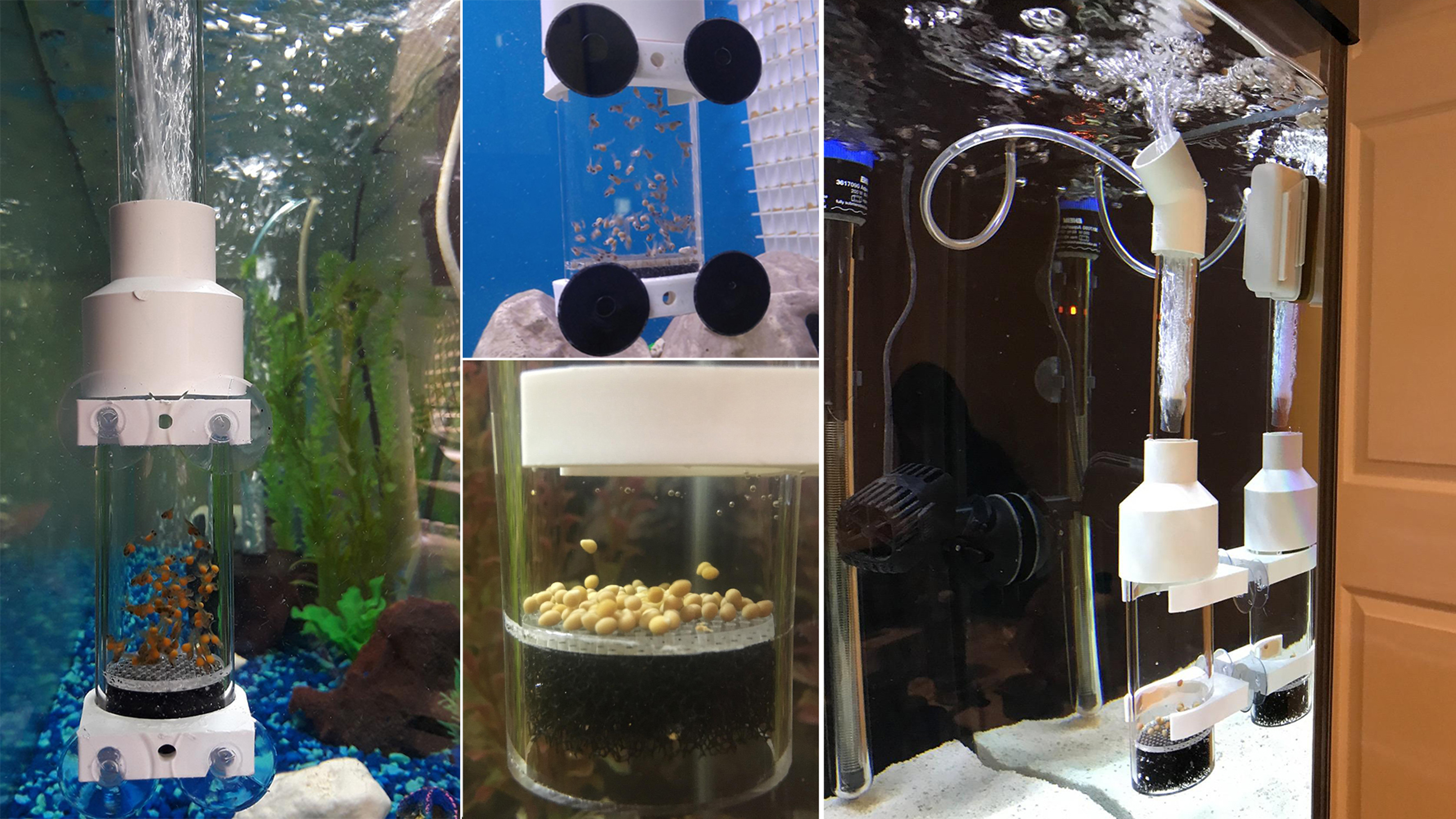 6 Senzeal+Aquarium+Cichlids+Incubator+Mouth+Brooding