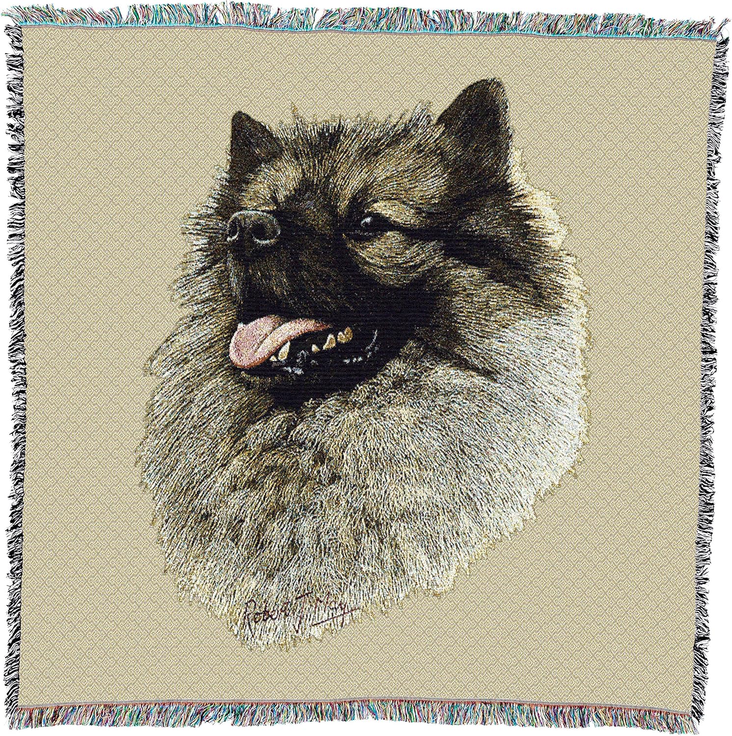 colored keeshond