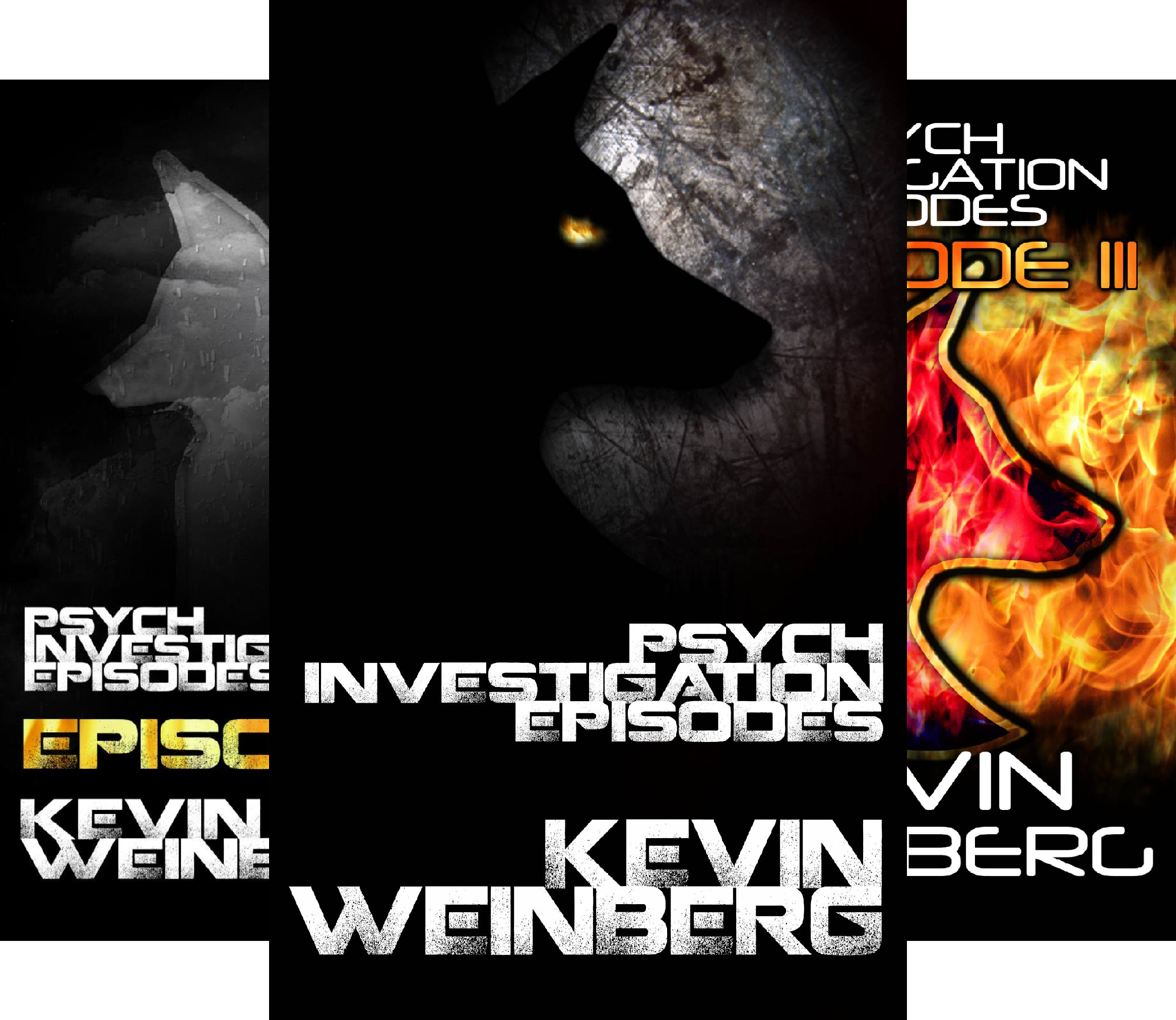 Psych Investigation Episodes (6 Book Series)