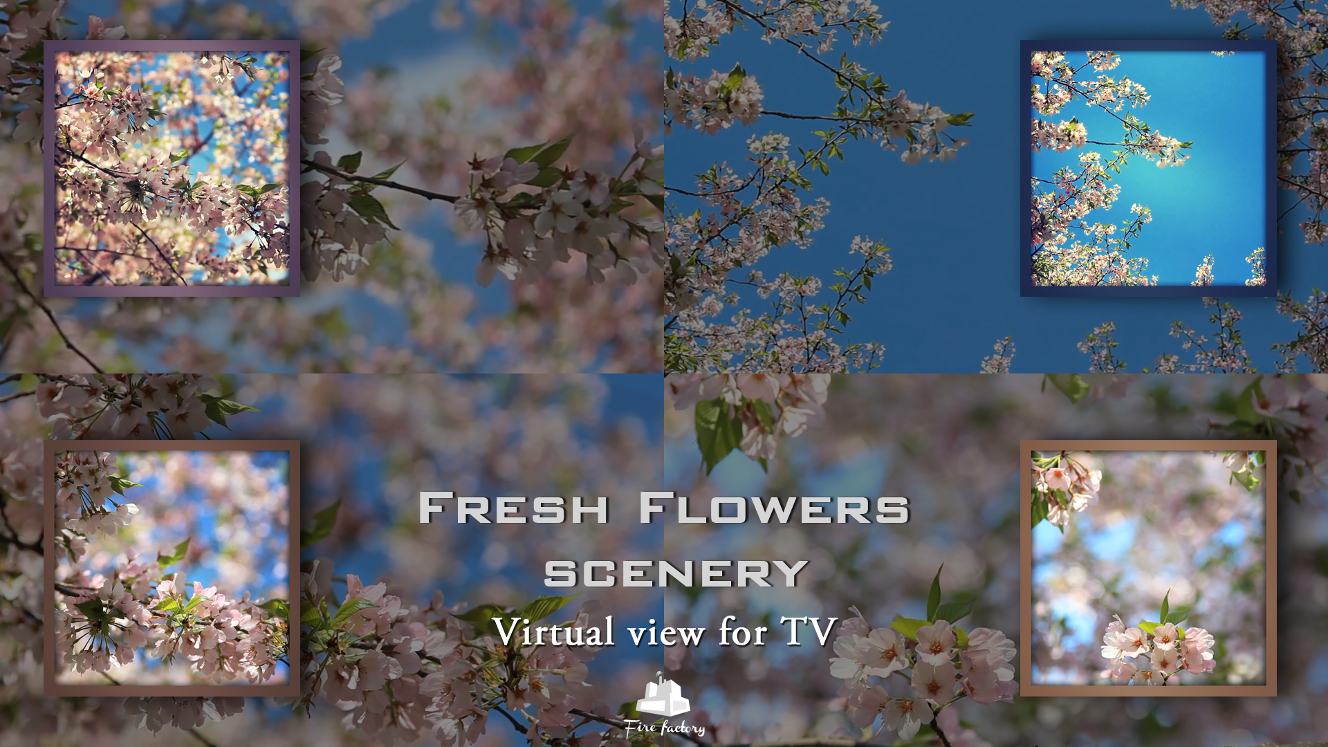 Fresh Flowers Scenery - Virtual View For TV - Thumbnail 2