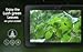 Natural Meditating Ambience - Enjoy the Calm Ambience on Your Screen