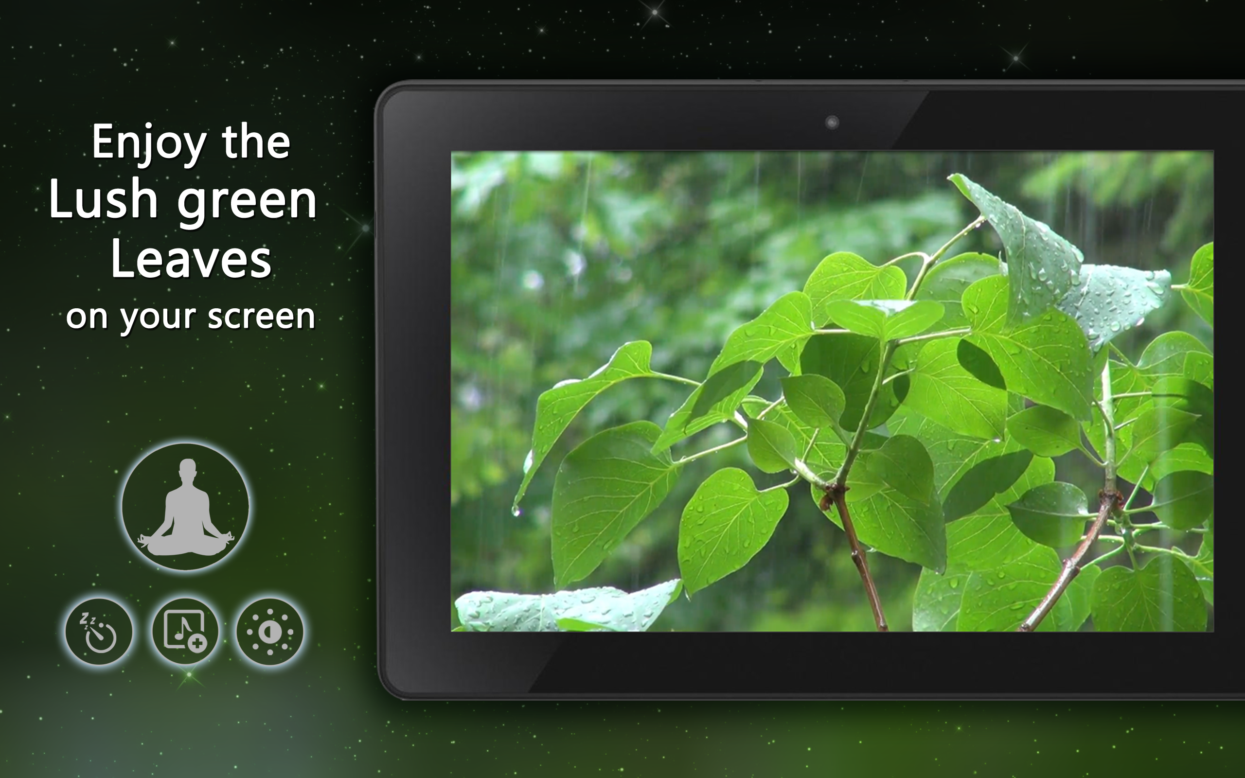 Natural Meditating Ambience - Enjoy the Calm Ambience on Your Screen