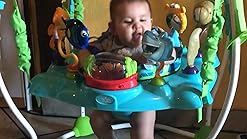 finding nemo jumperoo amazon