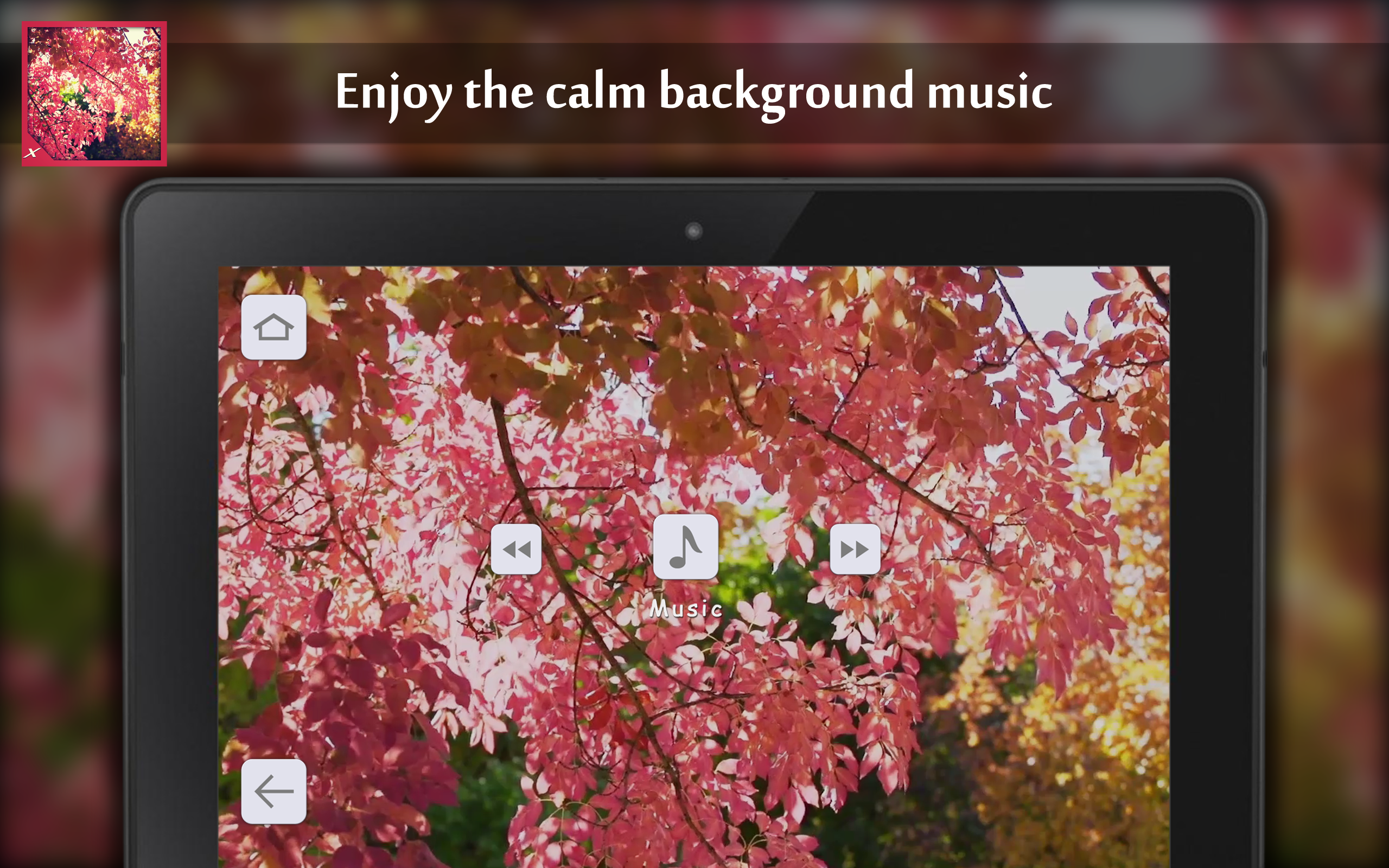 Autumn leaves rattle - Thumbnail 5
