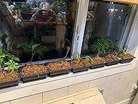 Review Image by David David