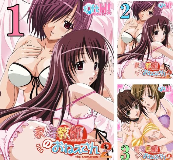 フルカラー 家庭教師のおねえさん2 Hの偏差値あげちゃいます ソフトエッチ版 アトリエかぐや Amazon De Alle Produkte