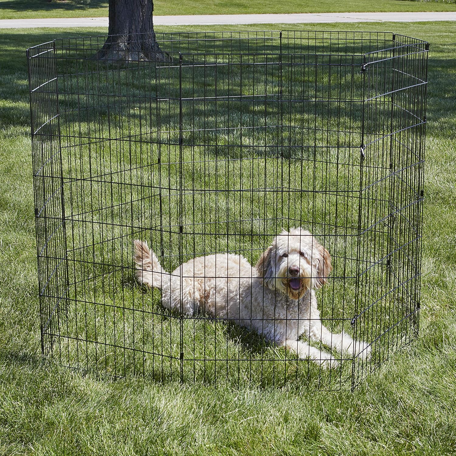 new world pet products exercise pen