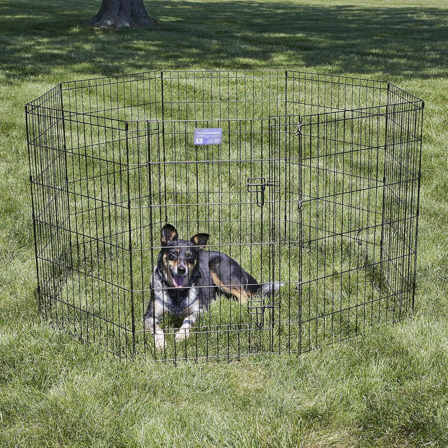 MidWest Homes for Pets Folding Metal Exercise Pen / Pet Playpen : Pet Playpens : Pet Supplies