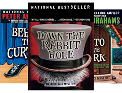 Image result for peter abrahams echo falls series