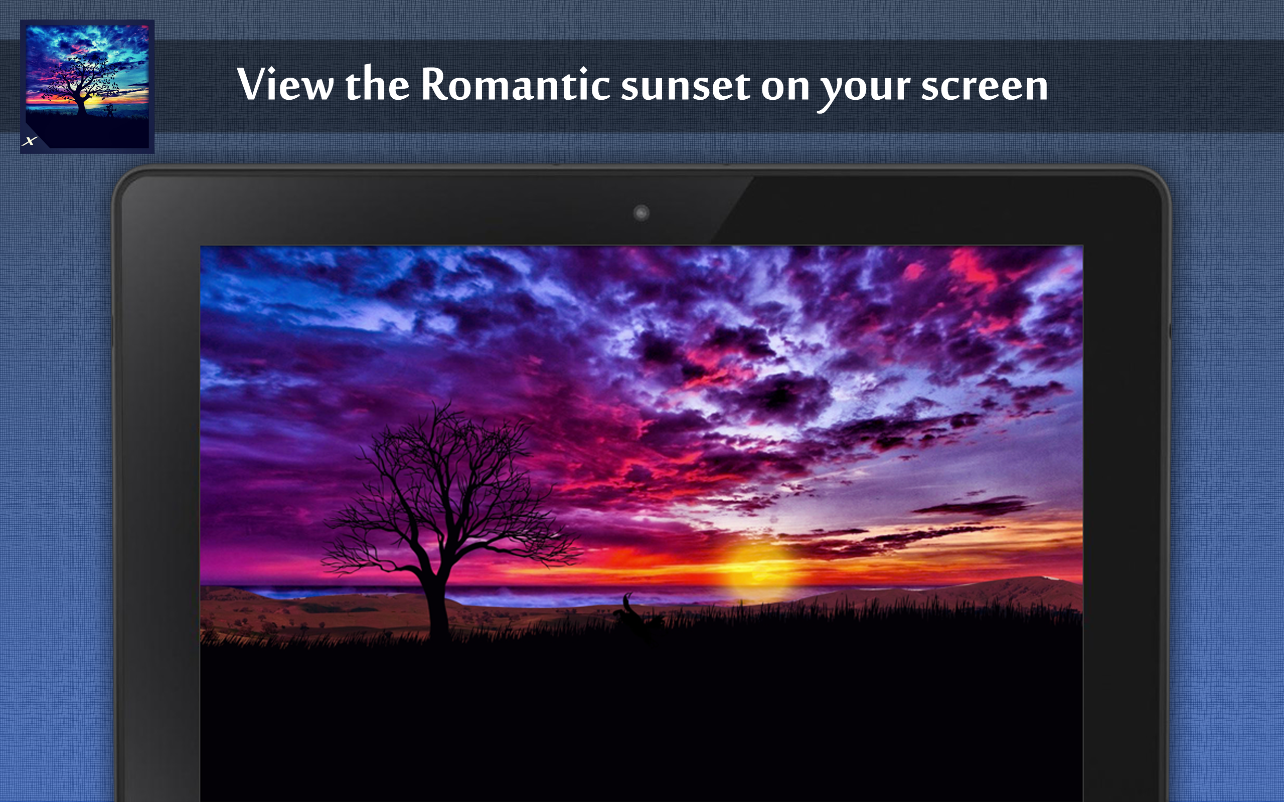 Animated Sun Rise Ambience - A Beautiful Morning Scene - Thumbnail 4
