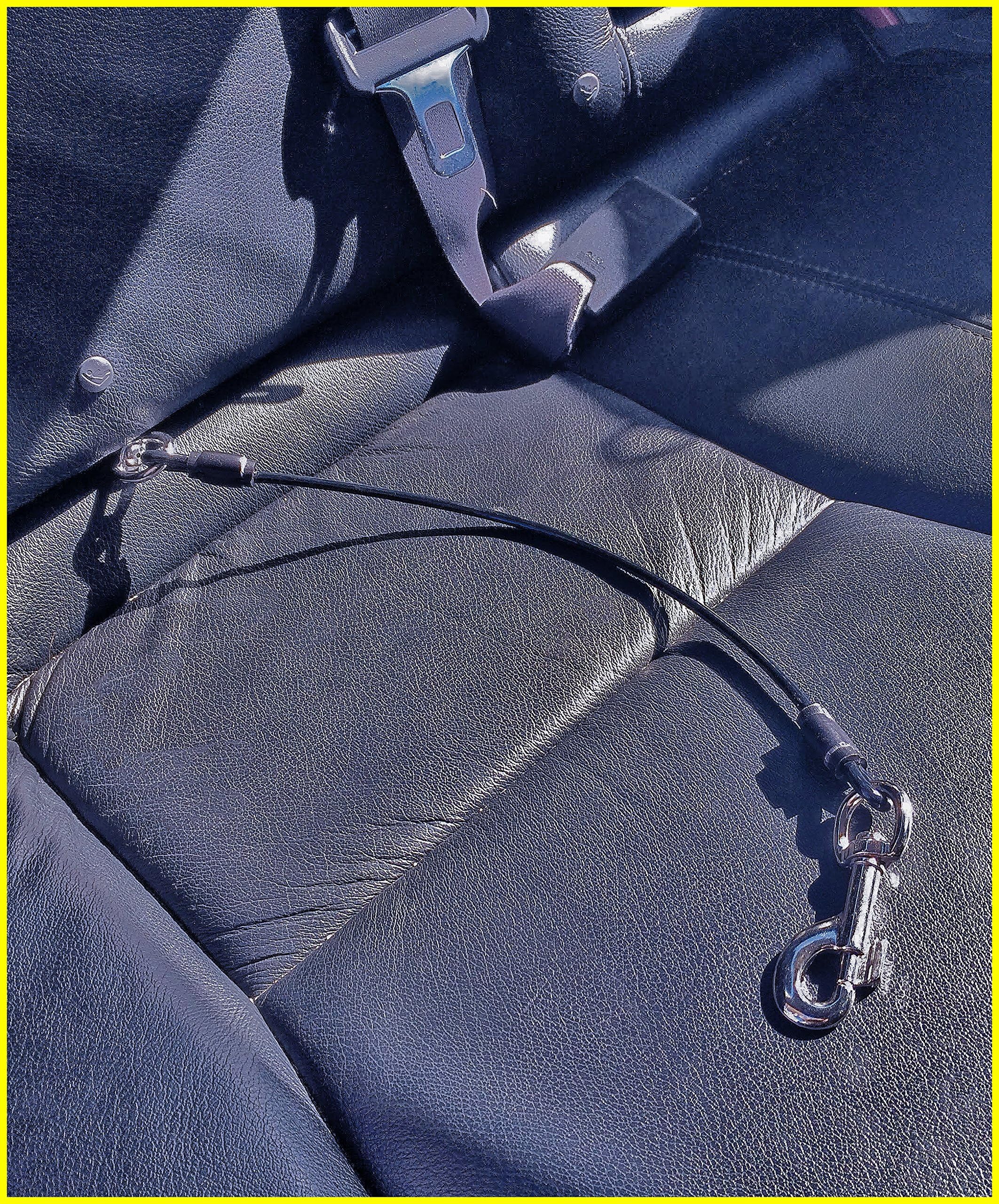 Dog Car Seat Belt Tether - Chew-Proof Heavy Duty Car Seatbelt Restraint - Extra Durable Tether to Prevent Chewing (Large - 66 cm)