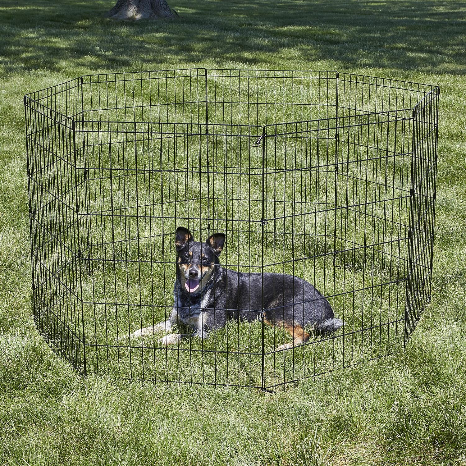 new world pet products exercise pen