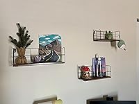 Review Image by Caleb Tamura