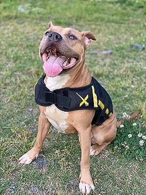 weighted jacket for dogs