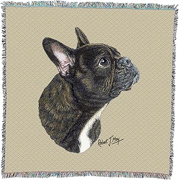 pure french bulldog