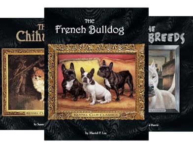 kc registered whippets for sale